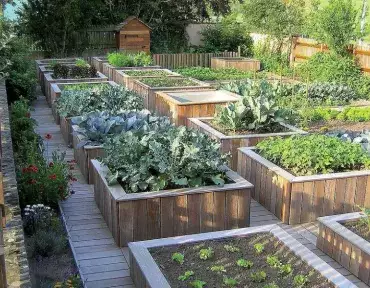 11 обязательных шагов для подготовки сада к дачному сезону